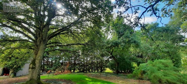 Maison a vendre Poulaines 36210 Indre 220 m2 8 pièces 340000 euros