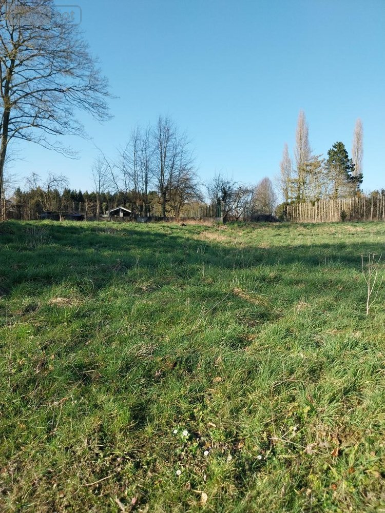 Maison a vendre Villers-Sir-Simon 62127 Pas-de-Calais 200 m2 9 pièces 308000 euros