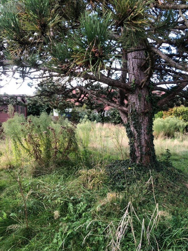 Maison a vendre Condette 62360 Pas-de-Calais 109 m2 7 pièces 210000 euros