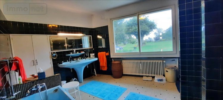 Maison a vendre Villeloin-Coulangé 37460 Indre-et-Loire 381 m2 10 pièces 523200 euros