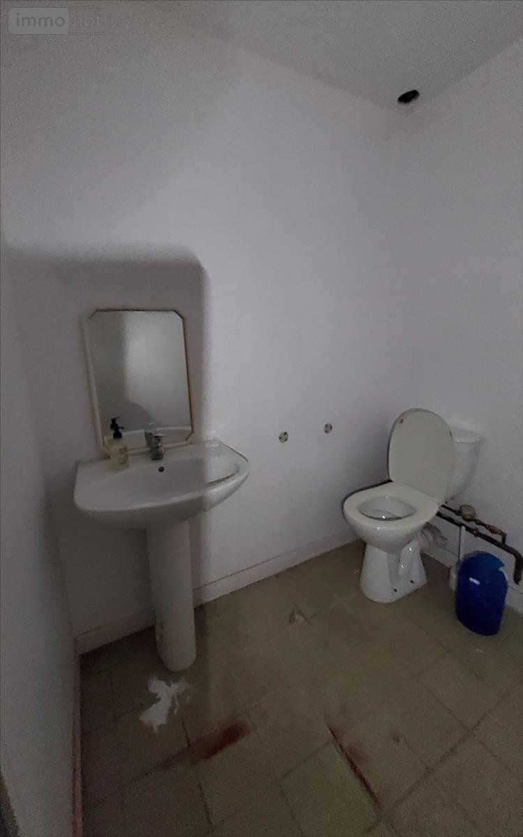 Location immeuble de rapport Carhaix-Plouguer 29270 Finistère 500 m2  3000 euros