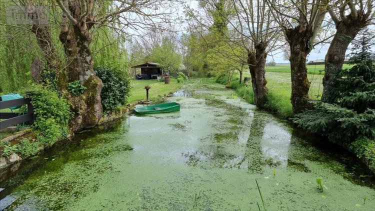 Maison a vendre Jonzac 17500 Charente-Maritime 226 m2 8 pièces 309750 euros