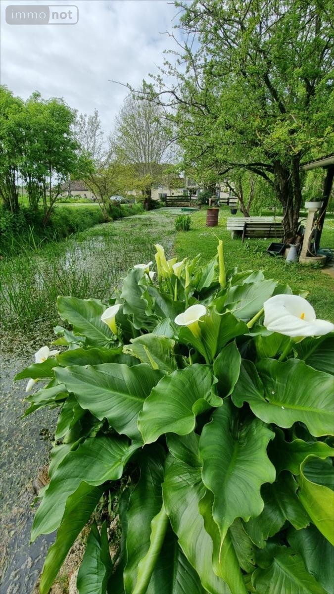 Maison a vendre Jonzac 17500 Charente-Maritime 226 m2 8 pièces 309750 euros