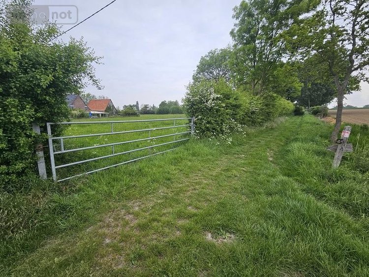 Terrains de loisirs bois etangs a vendre Oudezeele 59670 Nord 14373 m2  46000 euros