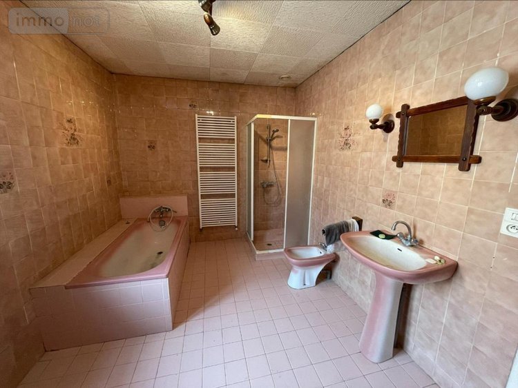 Maison a vendre Bâgé Dommartin 01380 Ain 183 m2 5 pièces 95000 euros