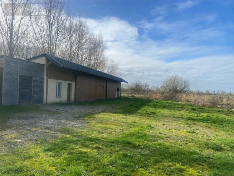 Maison a vendre Cherrueix 35120 Ille-et-Vilaine 300 m2 5 pièces 524599 euros