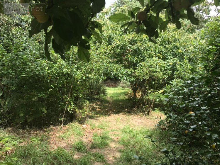 Maison a vendre Plouhinec 56680 Morbihan 120 m2 5 pièces 383760 euros