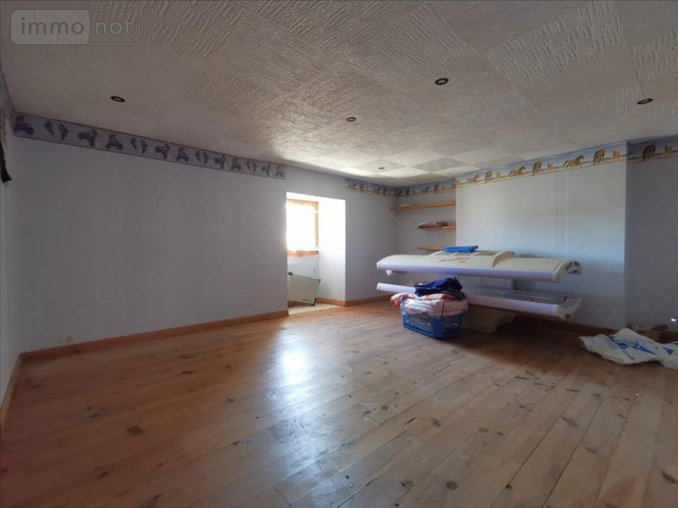Maison a vendre Braye-sous-Faye 37120 Indre-et-Loire 120 m2 5 pièces 43000 euros