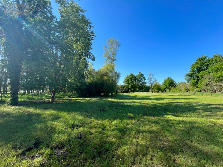 Maison a vendre Cour-Cheverny 41700 Loir-et-Cher 84 m2 4 pièces 199190 euros