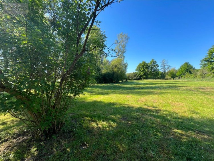 Maison a vendre Cour-Cheverny 41700 Loir-et-Cher 84 m2 4 pièces 199190 euros