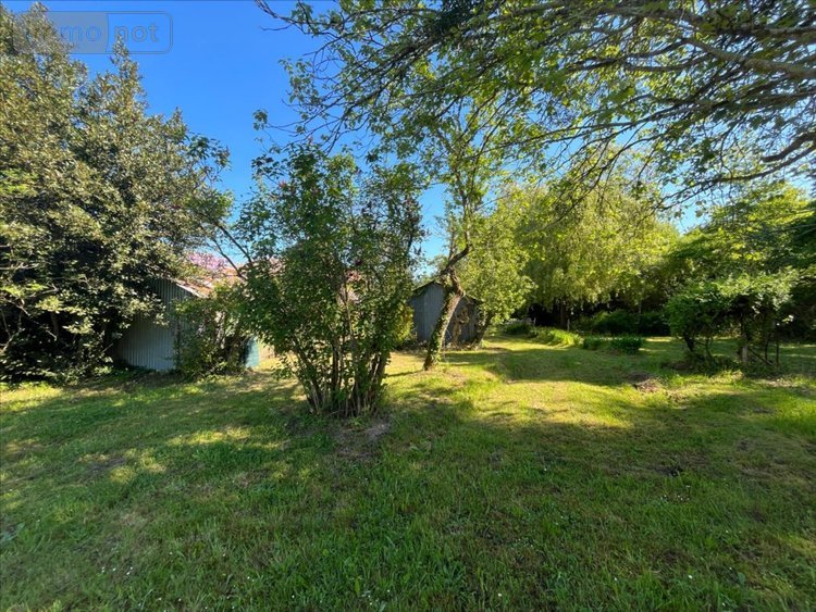 Maison a vendre Cour-Cheverny 41700 Loir-et-Cher 84 m2 4 pièces 199190 euros