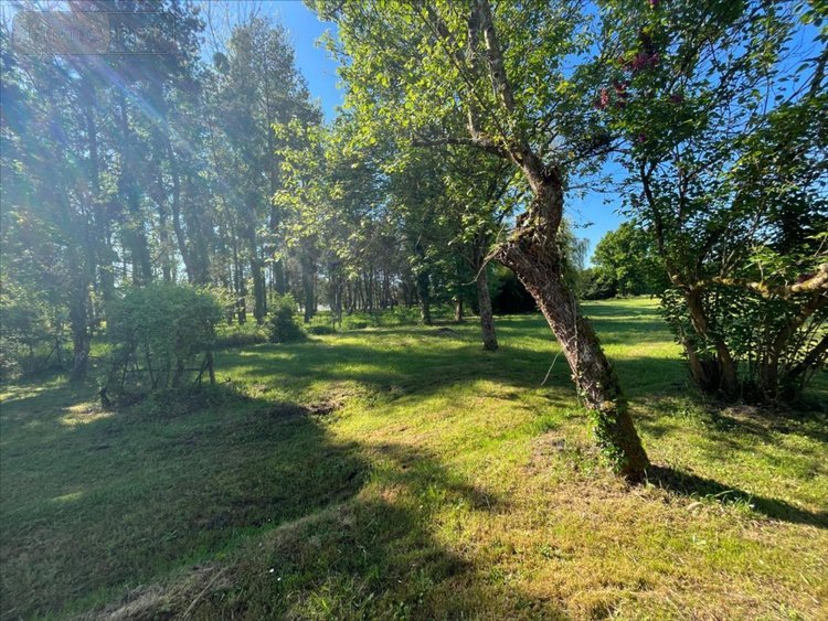 Maison a vendre Cour-Cheverny 41700 Loir-et-Cher 84 m2 4 pièces 199190 euros