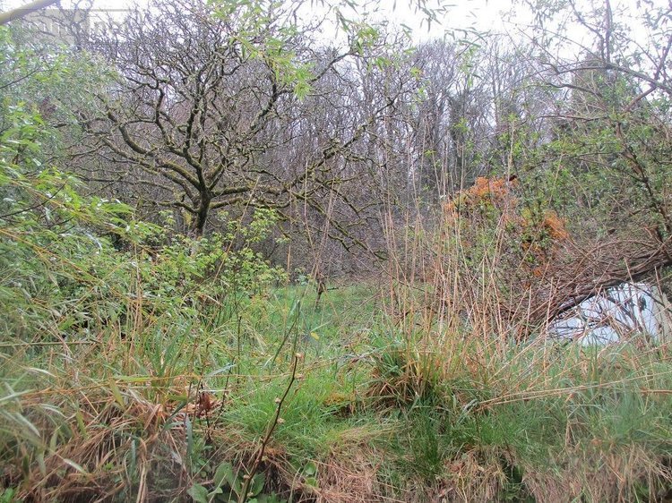 Maison a vendre Ploërdut 56160 Morbihan 83 m2 3 pièces 47700 euros