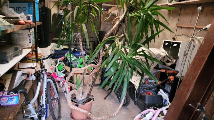 Maison a vendre Elbeuf 76500 Seine-Maritime 53 m2 2 pièces 136500 euros