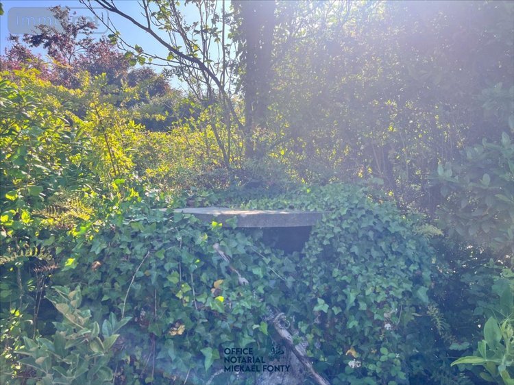 Maison a vendre Gouville-sur-Mer 50560 Manche 149 m2 7 pièces 572000 euros