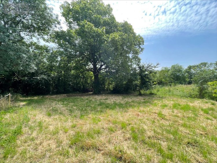 Terrain a batir a vendre Thairé 17290 Charente-Maritime 1103 m2  168000 euros