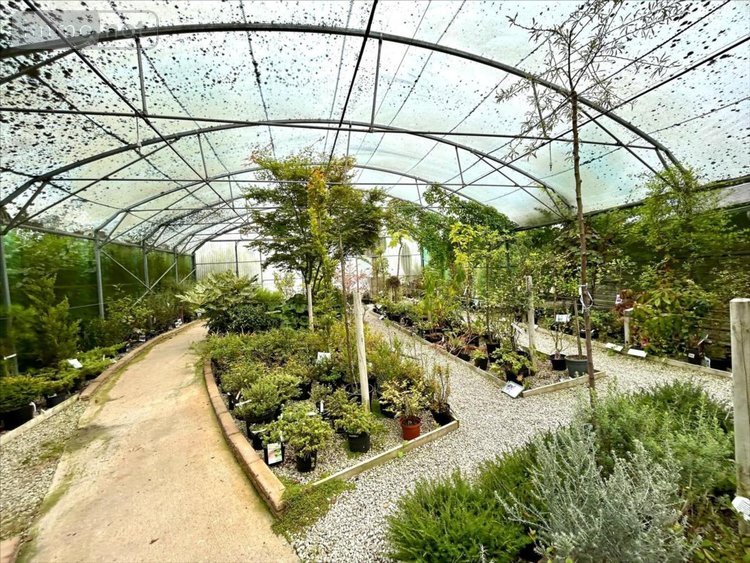 Fonds et murs commerciaux a vendre Saint-Sauveur-le-Vicomte 50390 Manche 1300 m2  210560 euros