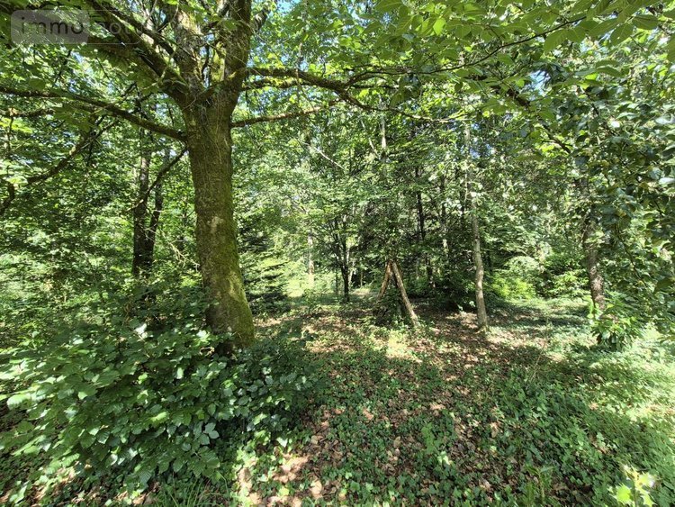 Maison a vendre Augan 56800 Morbihan 119 m2  251390 euros