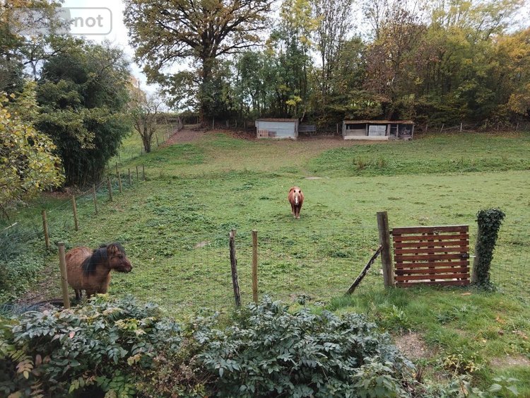 Maison a vendre Pezé-le-Robert 72140 Sarthe 49 m2 2 pièces 58300 euros