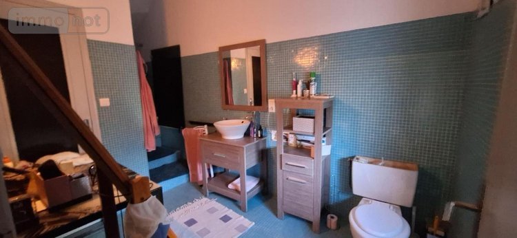 Maison a vendre Vic-Fezensac 32190 Gers 300 m2 10 pièces 296000 euros