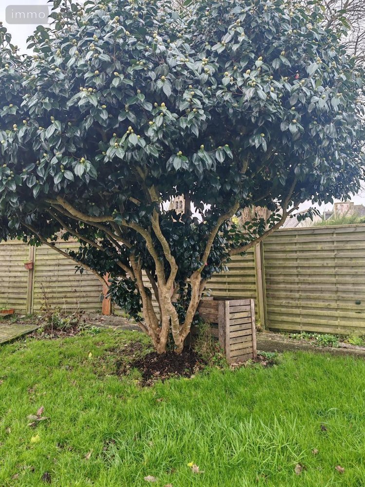 Location maison Plougonven 29640 Finistère 69 m2  700 euros