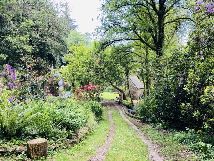 Maison a vendre Quistinic 56310 Morbihan 115 m2 5 pièces 270800 euros