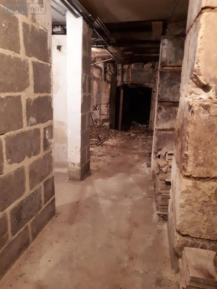 Immeuble a vendre Montoire-sur-le-Loir 41800 Loir-et-Cher 100 m2  99800 euros