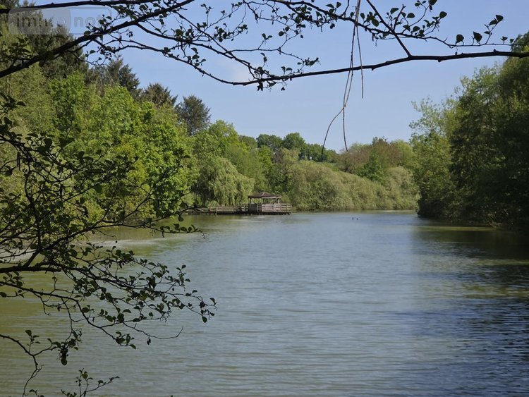 Terrains de loisirs bois etangs a vendre La Roche-Neuville 53200 Mayenne 31445 m2  95700 euros