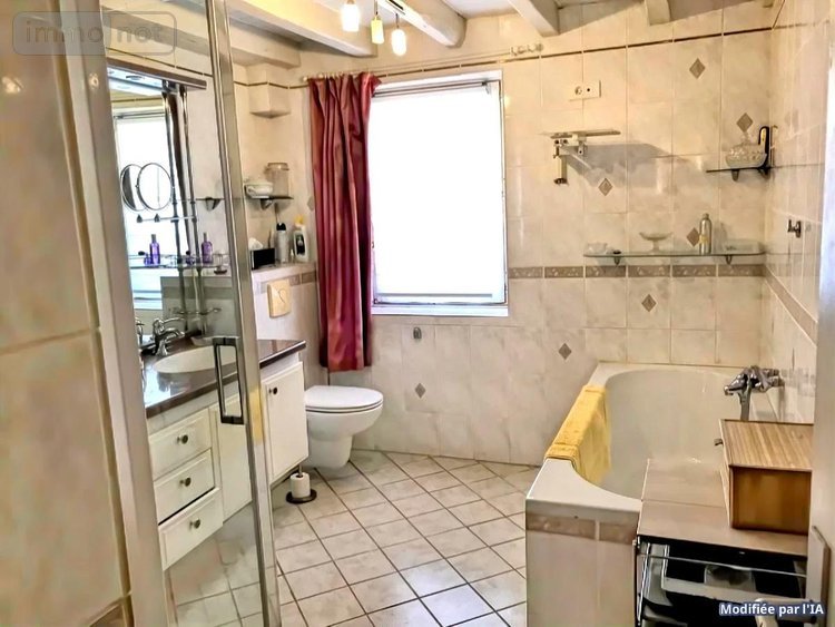 Maison a vendre Sainte-Solange 18220 Cher 310 m2 8 pièces 360500 euros