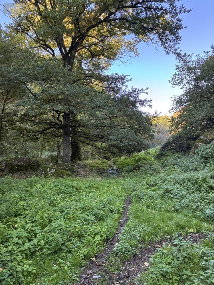 Maison a vendre Salmiech 12120 Aveyron 95 m2 6 pièces 84500 euros