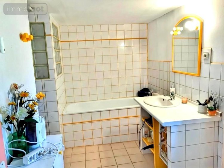 Maison a vendre Sainte-Solange 18220 Cher 310 m2 8 pièces 360500 euros