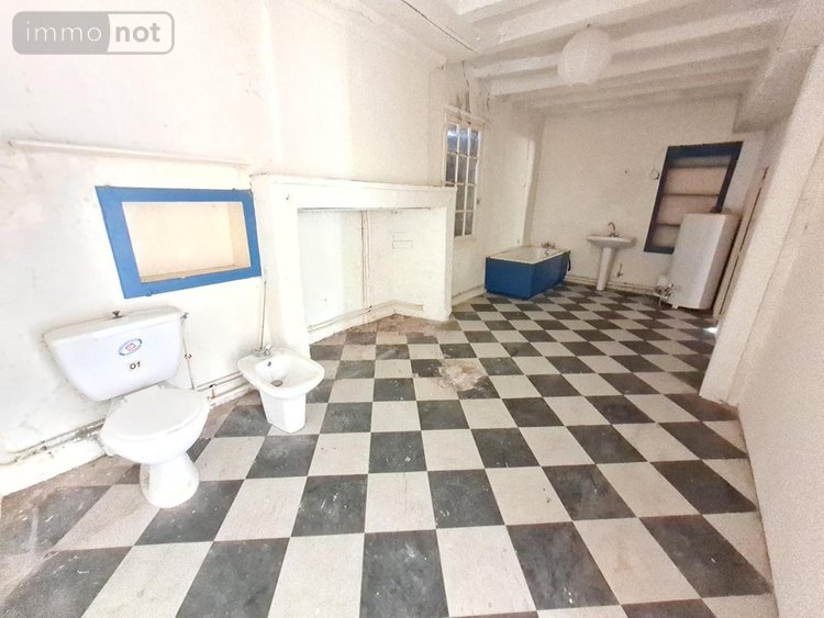 Maison a vendre Ternay 41800 Loir-et-Cher 243 m2 8 pièces 150655 euros