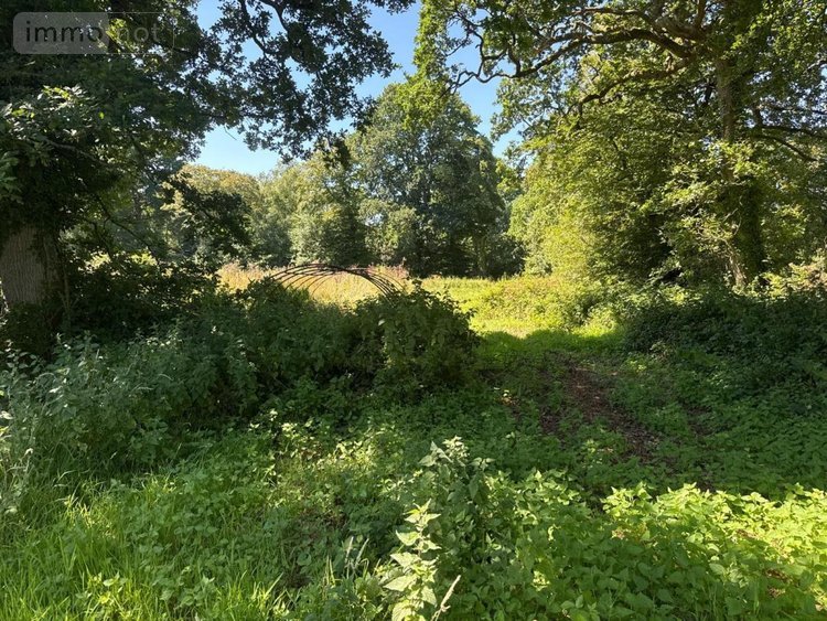 Terrains de loisirs bois etangs a vendre Martinvast 50690 Manche 7346 m2  19080 euros