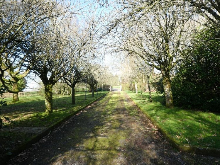 Maison a vendre Saint-Caradec-Trégomel 56540 Morbihan 180 m2 6 pièces 262500 euros