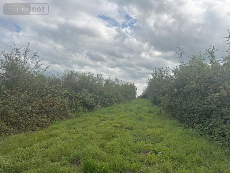 Terrains de loisirs bois etangs a vendre Barzy-en-Thiérache 02170 Aisne 53030 m2  179350 euros