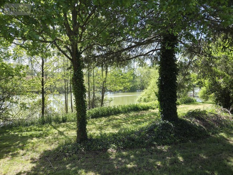 Terrains de loisirs bois etangs a vendre La Roche-Neuville 53200 Mayenne 31445 m2  95700 euros