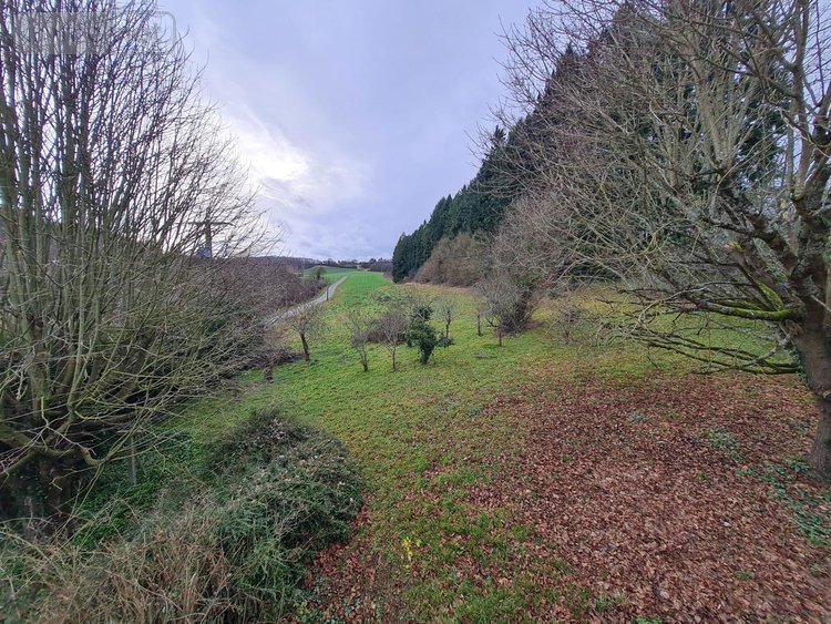 Maison a vendre Ternay 41800 Loir-et-Cher 145 m2 5 pièces 145460 euros