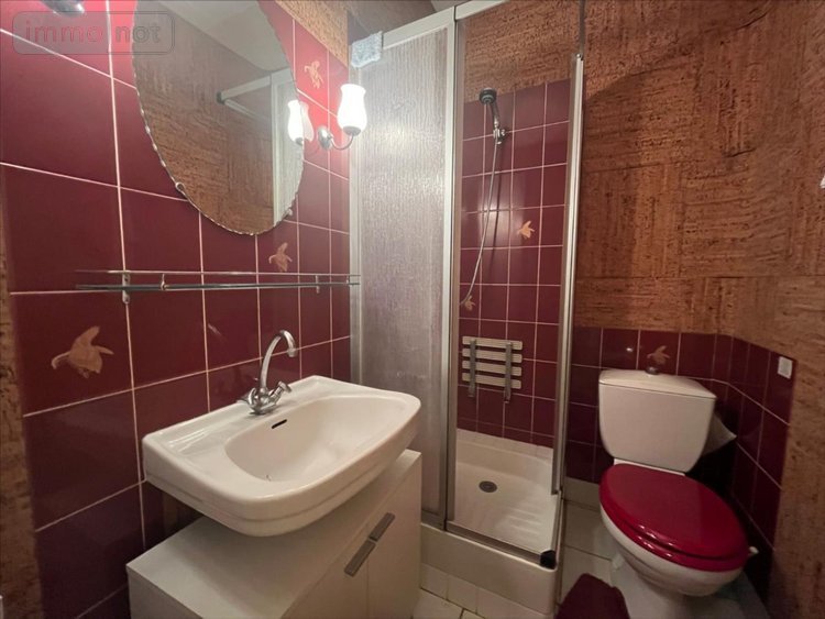 Maison a vendre Blois 41000 Loir-et-Cher 135 m2 5 pièces 294000 euros