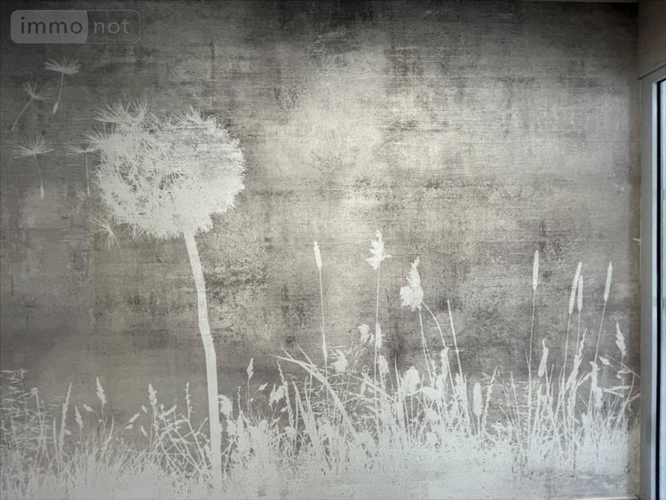 Location appartement Vendôme 41100 Loir-et-Cher 39 m2 2 pièces 580 euros