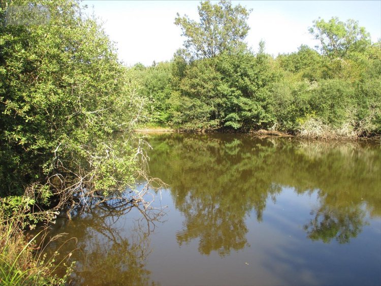 Terrains de loisirs bois etangs a vendre Fleurey-lès-Faverney 70160 Haute-Saône 12498 m2  97000 euros