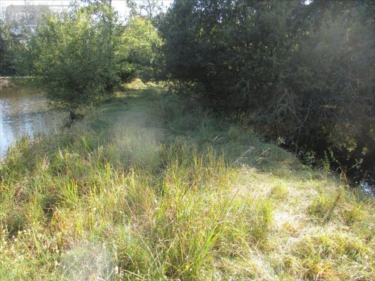 Terrains de loisirs bois etangs a vendre Fleurey-lès-Faverney 70160 Haute-Saône 12498 m2  97000 euros