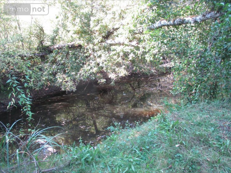 Terrains de loisirs bois etangs a vendre Fleurey-lès-Faverney 70160 Haute-Saône 12498 m2  97000 euros