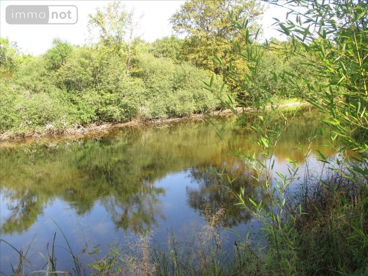 Terrains de loisirs bois etangs a vendre Fleurey-lès-Faverney 70160 Haute-Saône 12498 m2  97000 euros