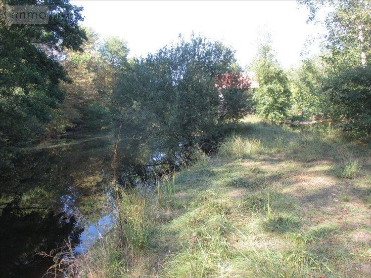 Terrains de loisirs bois etangs a vendre Fleurey-lès-Faverney 70160 Haute-Saône 12498 m2  97000 euros