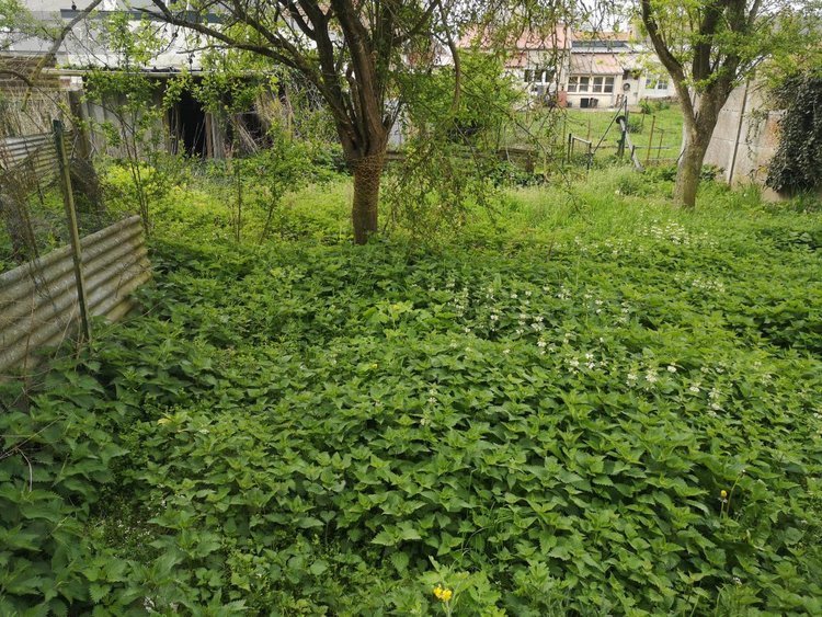 Maison a vendre Cagnoncles 59161 Nord 130 m2 6 pièces 80000 euros