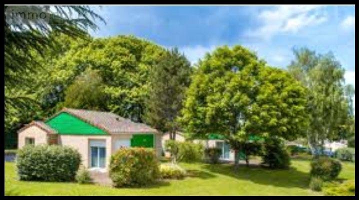 Fonds et murs commerciaux a vendre Cussac 87150 Haute-Vienne 4619 m2  730300 euros