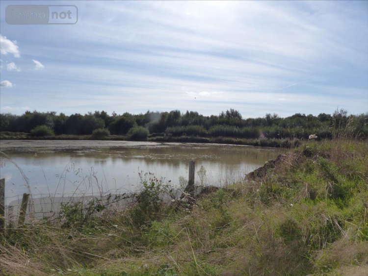 Terrains de loisirs bois etangs a vendre Pirou 50770 Manche 12000 m2  189600 euros