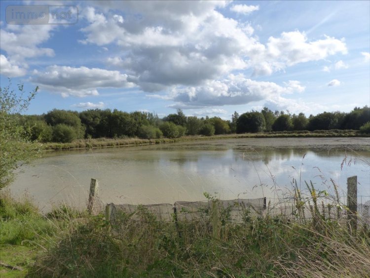 Terrains de loisirs bois etangs a vendre Pirou 50770 Manche 12000 m2  189600 euros