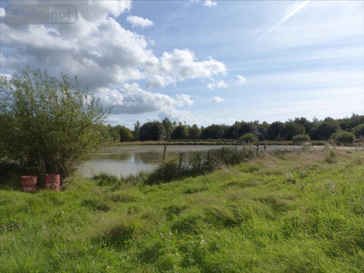 Terrains de loisirs bois etangs a vendre Pirou 50770 Manche 12000 m2  189600 euros