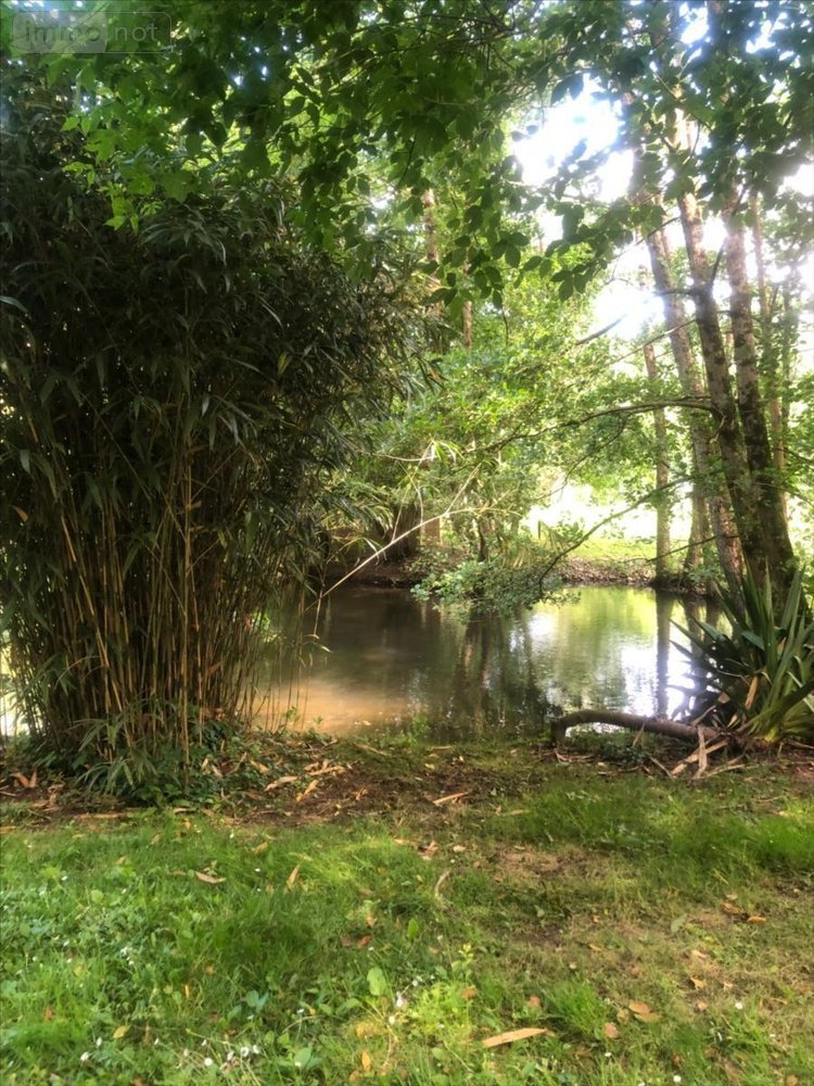 Maison a vendre Marles-sur-Canche 62170 Pas-de-Calais 186 m2 6 pièces 325500 euros